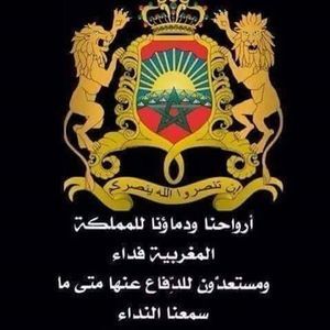 Meet your Posher, Adolph